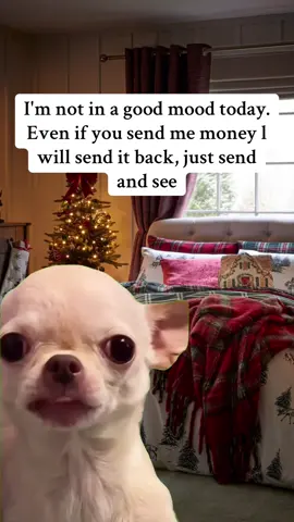 #Meme #MemeCut #mood #sundayspecial #sundaysbest 