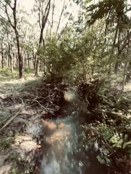 耶其次是支持在此時蔬菜此次 持有自然是因此我已經 。艾 。 thời đại lên ngôi , lòng người biến chất。công bằng biến mất ,đồng tiền là nhất..!!#fyp #fypシ゚ #chll #zxycba #xhhhhhhhhhhhhhhhhhhhhhhh #viral #