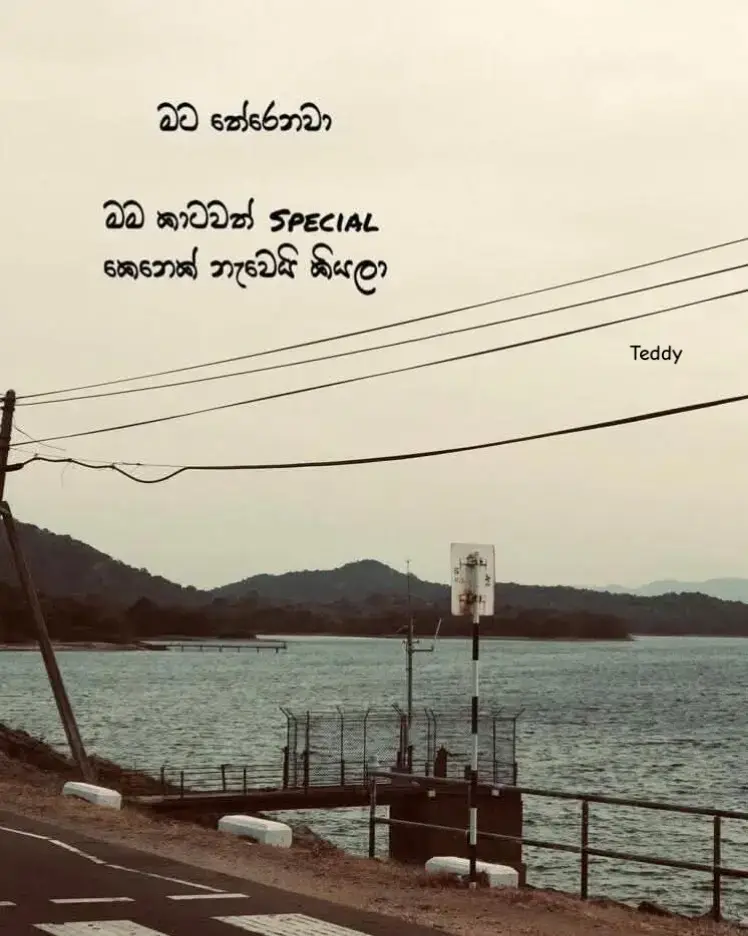 🥺❤️‍🩹 #teddy #viwes #page #wadan #viral 