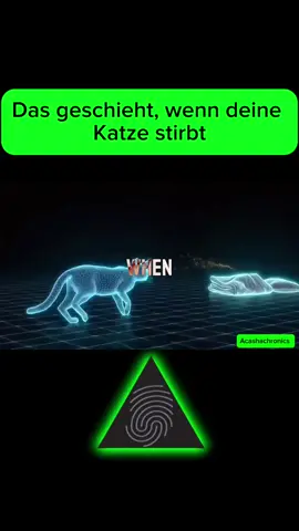 #wissenswert #meditation #unglaublich #spirituality 