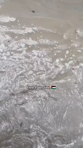 Kondisi sekarang di palestine setelah hujan badai  #novemberrain #banjir #palestine #gaza #updategaza 