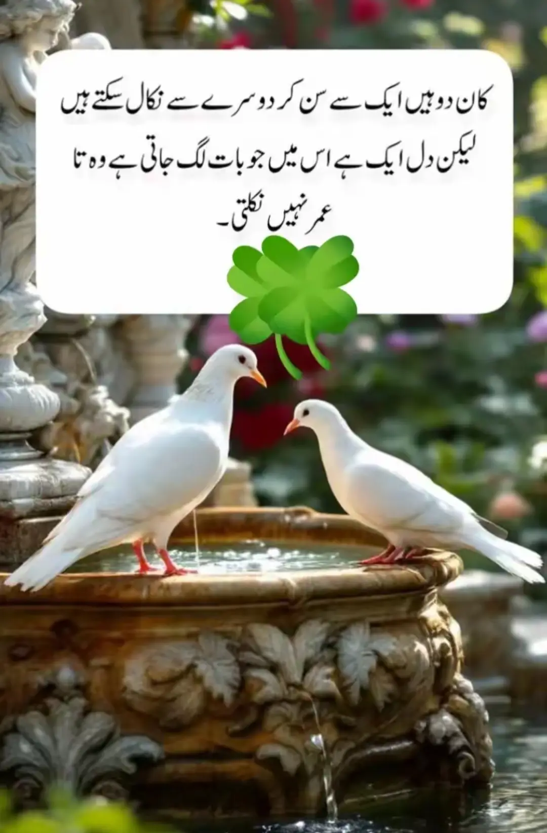 میں ہمیشہ درست فیصلے نہیں کرتی ، میں انسانوں کو پڑھنے میں بھی اچھی نہیں ہوں۔۔ لیکن میں جھوٹ نہیں بولتی، سازشیں میرے بس کا کام نہیں میں سچی اور صاف باتیں کرنے کی قائل ہوں۔ 🙂