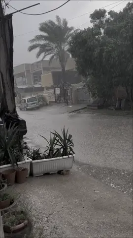 🫶🏼✨ #fyp #مطر 