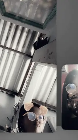 @dnpt_13 thân chuâ