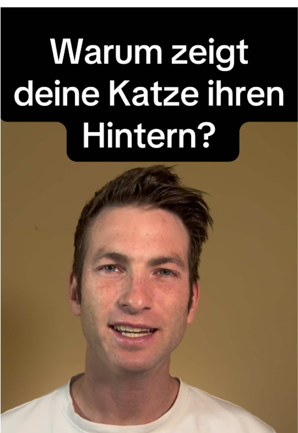 Macht deine Katze das auch??? Schreib ein „Ja“ in die Kommentare 🐱 ❤️  #katzenvideos #katzenliebe #wohnungskatze #katzenauftiktok #katzenwissen 