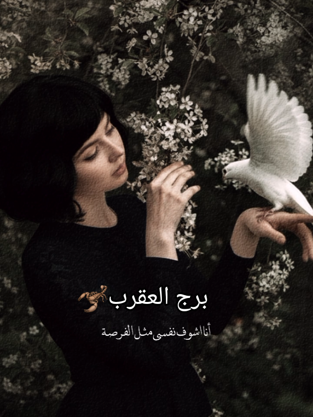 برج العقرب#CupCut #برج_العقرب🦂👌 #برج_العقرب #برج_العقرب♏ 