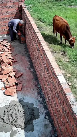 #abidkhan302302 #abidkhan302302 #chekmyvidoe #chekmyvidoe 