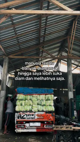 Kata” hari ini#sayursegar #pemborongsayur #ngantang24jam #malanghits #fypage 
