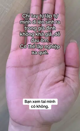 Chỉ tay tự lập cố gắng #hưuduyen #chitaytinhcam #chitaytailoc #xemchitay 