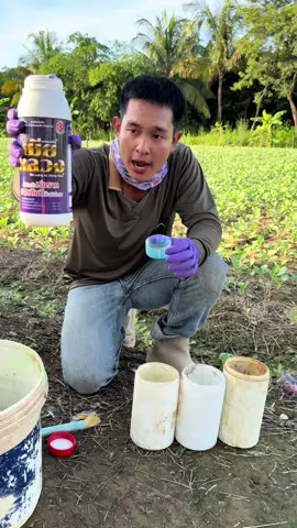 #ฮอร์โมนเมียหลวง#สารเร่งรากฟื้นฟูดิน#วัยรุ่นทํานาพิษณุโลก🌾❤🙏🏻 