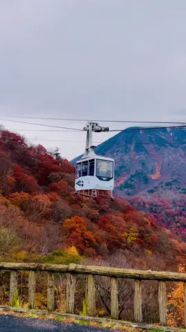 Sanje di sudut kota tochigi!! Nikko trip gaesss, gas buat nikko winter tripnya, daripada jalan sendiri susah tau, ribet perjalanannya mending pesan seat di mimin yukk,,.. . . . . Fg ig @Jowanjeh23_  . . . . , . #日光 #kenshuseijapan🇮🇩🇯🇵🎌 #tripjapanmurah #tripjapan12 #fyppppppppppppppppppppppp 