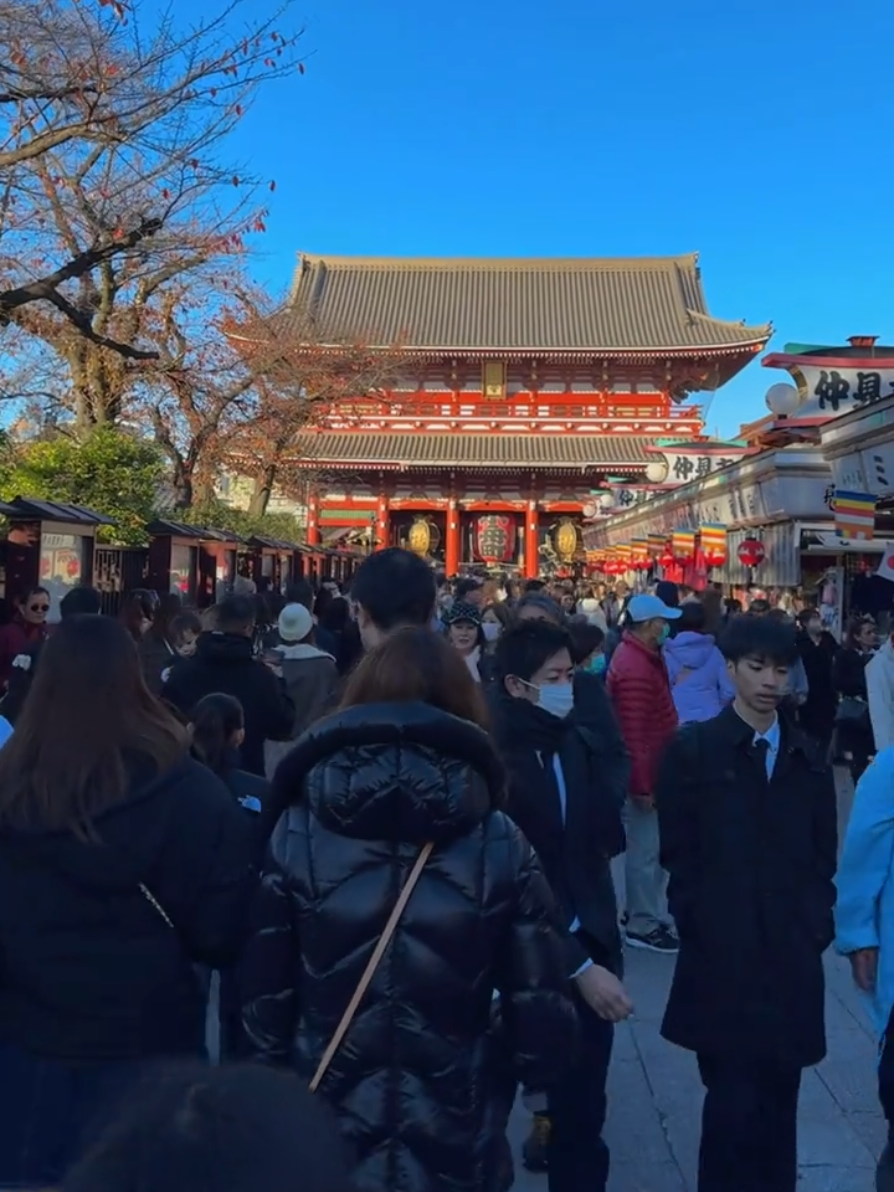 #somebodyspleasure #japanvibes #おすすめ #日本の風景 #japantravel 