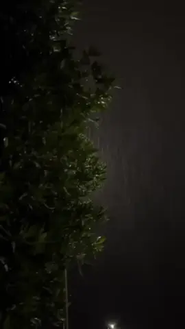 يازيننن اعراسنااا 👏🏻👏🏻👏🏻👏🏻😩♥