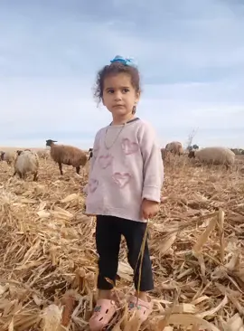 #tiktok #trend #fs20 #シ゚viral🖤tiktok 