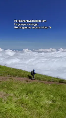 biar kenangannya sangat melekat, dokumentasiin pendakianmu bareng mimin. Anda puas, saya lemas ☺️ . 📍Gunung Sumbing . #gunungsumbing #gunungsumbing3371mdpl #gunungsumbingviagajahmungkur #sumbingviagajahmungkur 