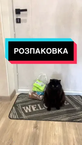 Розпаковка🥳