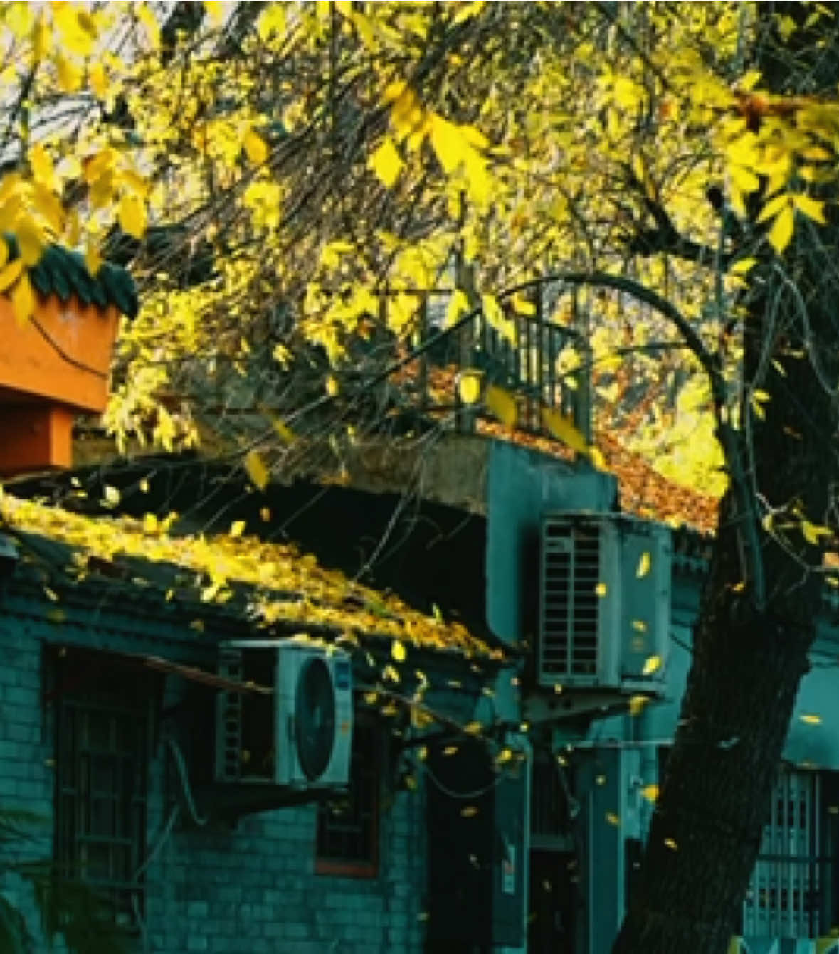 “Chúng ta không thể trở thành những con người vĩ đại, nhưng ít nhất vẫn có thể trở thành những con người tốt đẹp.