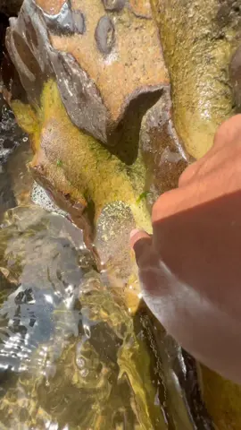 Biggest perfect round hole discovered! What's the bottom