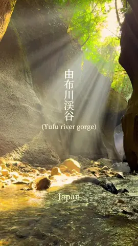 📍由布川渓谷(Yufu river gorge) ・ ︎︎ ・ ︎︎ ・ ︎︎ 🇯🇵大分【-Oita Japan-】 ・〒879-5525 大分県由布市挾間町朴木  ︎︎  ︎︎ 幻想的すぎた...✨️ 夏に限らず心を浄化したいなら行くべき場所。   ︎︎ It was too dreamy...✨️ A place you should visit if you want to purify your heart, not just in summer. ┈┈┈┈┈┈┈┈┈┈┈┈┈┈┈  ︎︎ #由布川渓谷 #日本の風景 #癒しスポット #マイナスイオン #japanbeautiful 
