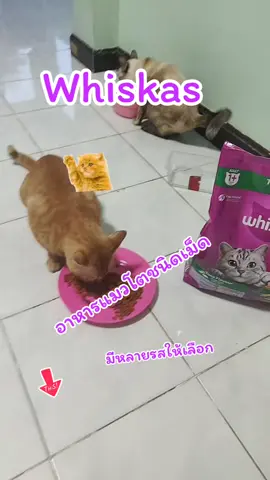 Whiskas #อาหารแมวชนิดเม็ดสําหรับแมวโต #อาหารแมวชนิดเม็ดสําหรับแมวโต 