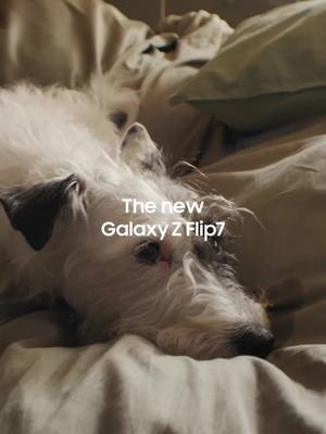 Awali hari dgn NowBrief di Infinity Cover Screen Galaxy Z Flip7! Promo benefit s.d. 4,2jt