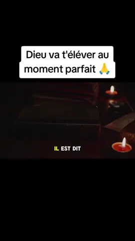Essaïe 60:22. #parolededieu #versetbiblique #dieu #tiktokchretien #amen 