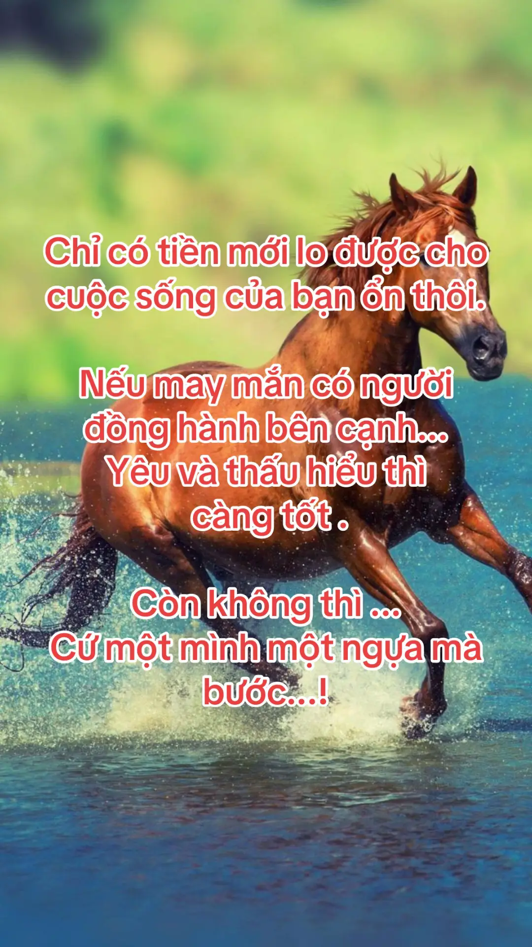 #ngophieubat #canhngo1990 #canhngo #thịnhhành #xuhuong 