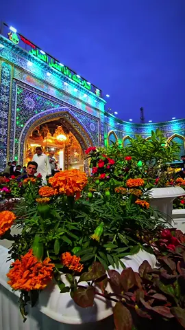 #اللهم_صل_على_محمد_وال_محمد #سلام_عليك_يا_اباعبدالله_الحسين #سلام_عليك_يا_ابا_الفضل_العباس_ع 