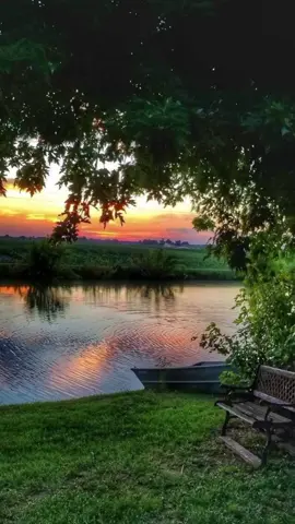 #سبحان_الله_وبحمده  #ذكرغيرك_ولك_الأجر_بإذن_الله  #اكتب_شيء_تؤجر_عليه🌿🕊  #اللهم_صل_وسلم_على_نبينا_محمد 