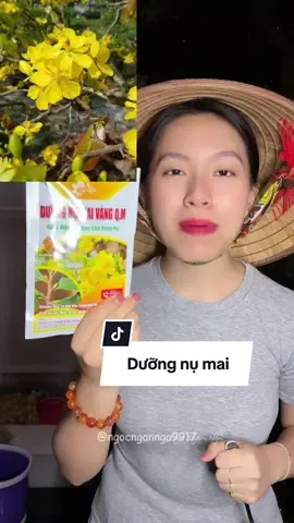 Dưỡng nụ mai để nở hoa đều đẹp #duongnumai #duongnumaivang #ngocngannga 