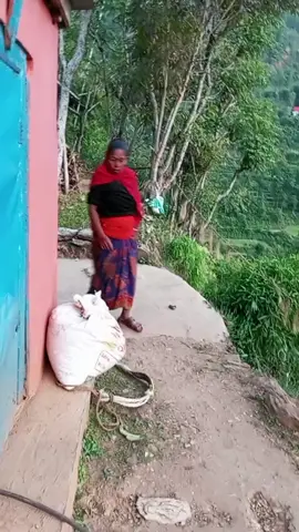 #creatorsearchinsights #varal #aama #