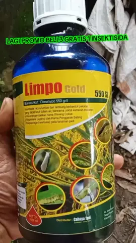 Limpo gold insektisida racun pembasmi hama pada tanaman padi#limpogold550sl #insektisida#petanipadiindonesia🌾🇲🇨#racunpalingampuh#pypppppppp 