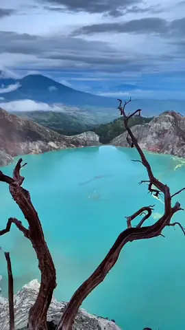 Kawah Ijen Blue Fire 🇮🇩👌🏻 #kawahijen #kawahijenbanyuwangi #kawahijenbluefire #fyp 