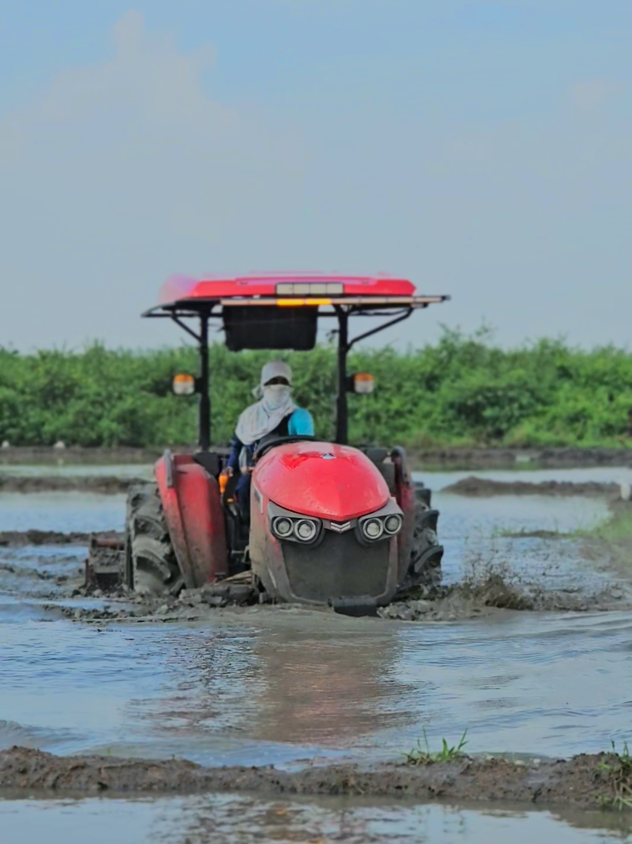 සූස්තිමස් 👵#yanmar #fyfyfyfyfyfyfyfyfyfyfyfyfyfyfyfyfyfy #CapCut #srilanka #srilanka 
