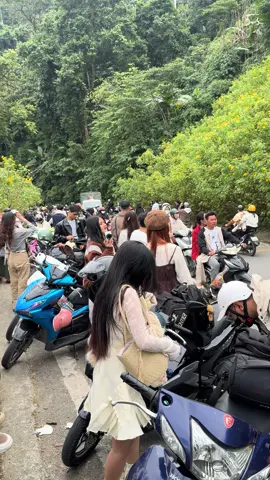 Chạy đê 😂#xh #bavi 