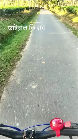 ধীরে ধীরে চালাও গারি#fypシ゚ #viralvideo #tiktok #foryou 