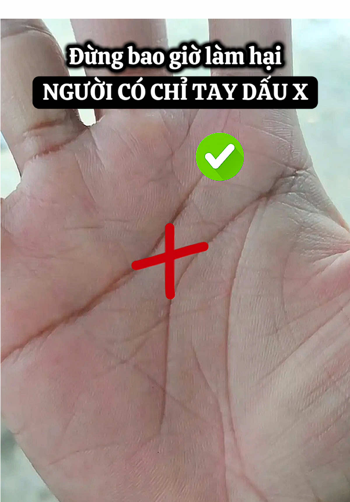 Giải mã Dấu X trong lòng bàn tay #vậnmệnhradio #LearnOnTikTok #xemboi #giaimachitay #xh 