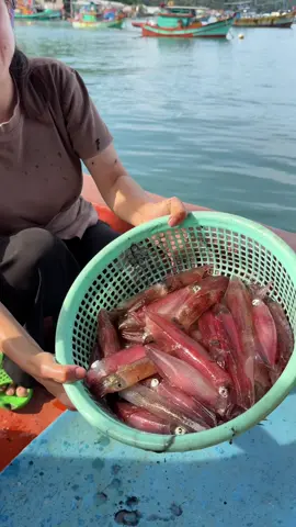 Mực tươi rói #muccau #muccaunamdu #xuhuongtiktok #xuhuong #mucnamdu 