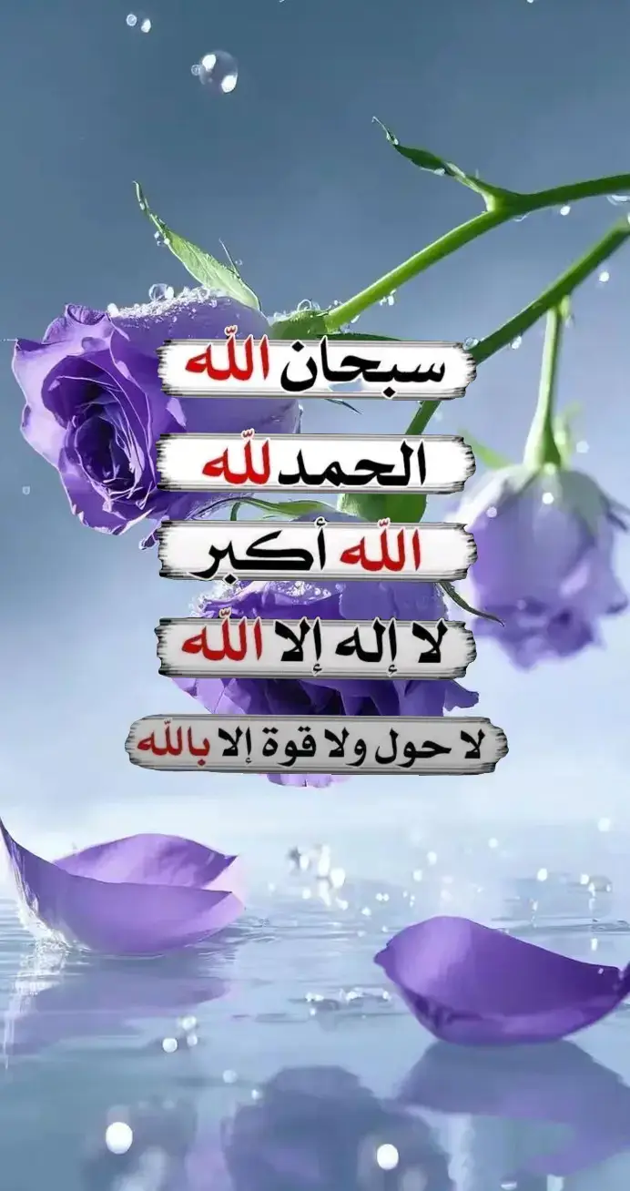 #fyp #fypage #اكسبلورexplore 