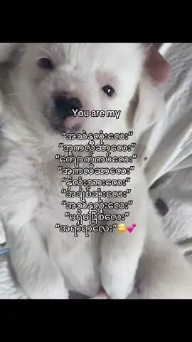 @k #views #K #iluvmybf 