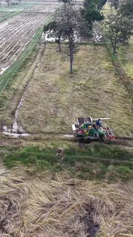 เก็บเกี่ยวแบบรวดเร็วทันใจ #รถเกี่ยวข้าว 