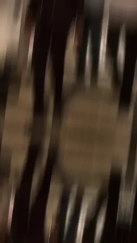 dhaarta un baa inoo dhiman #xajsi2025 #simaduniversity #xajsielectionssimaduniversity #votefordromar 