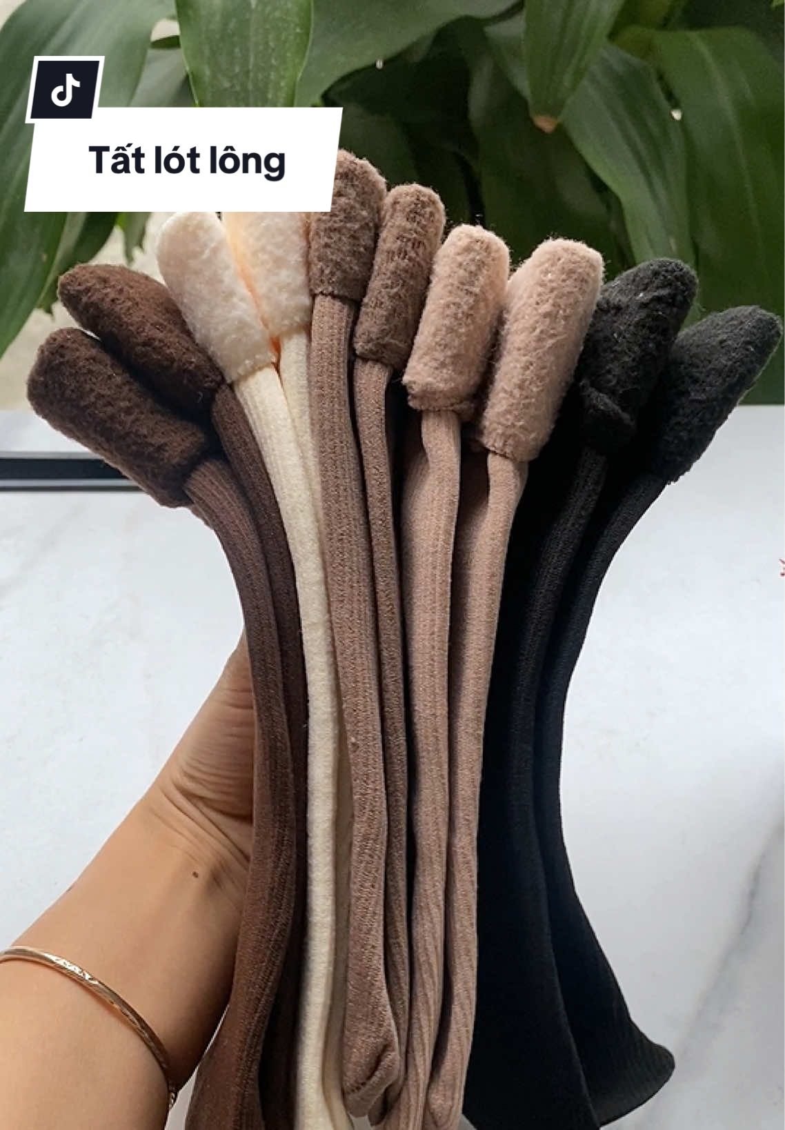 Tất lót lông siêu ấm #tất #tatnu #tatlotlong #tatlotlongcuu #thuythichtienich 
