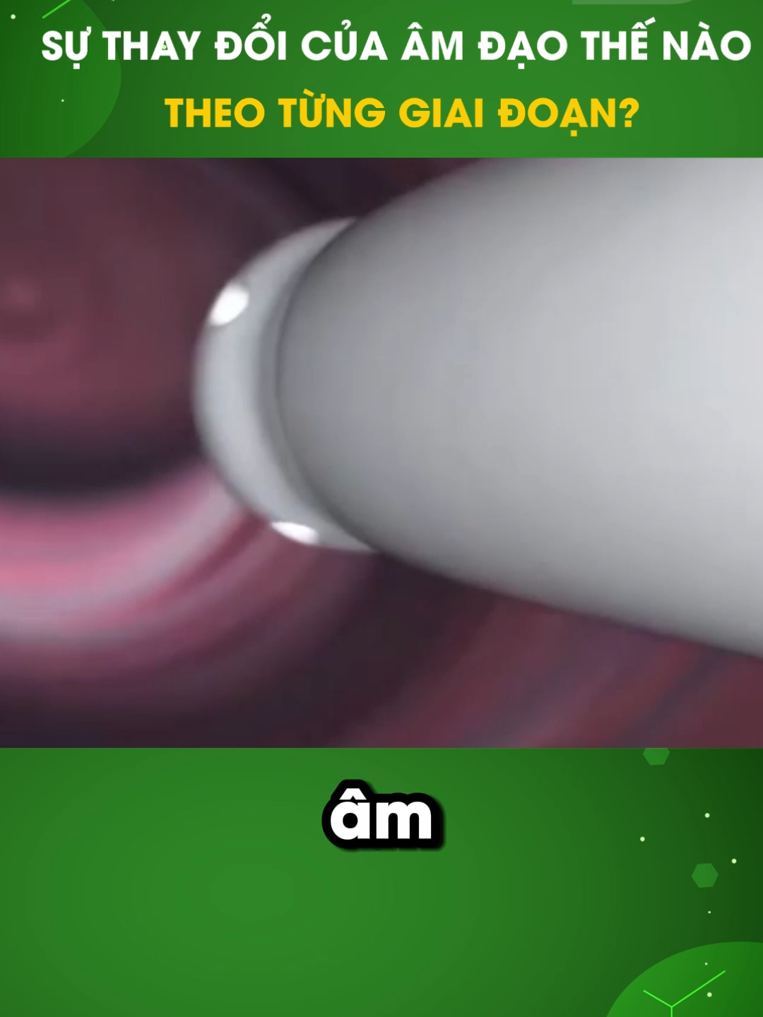 SỰ THAY ĐỔI CỦA ÂM ĐẠO THEO TỪNG GIAI ĐOẠN ? #amdao #dhpharmacy