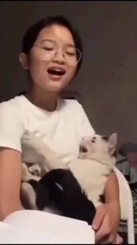 meow meow 😊😁 #sanaall 