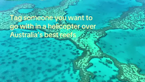 #tagsm #reef #helicopter #AirlieBeach #Australia 