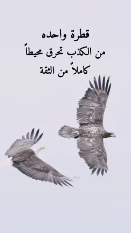 #قطرة واحده من الكذب تحرق محيطاً كاملاً من الثقة#اكسبلور #viraltiktok #fy #@جمـᬼ ᬼ ⃟ ⃟ ⃟ ⑅⃝ـᬼــرة ❋♩🔥 @جمـᬼ ᬼ ⃟ ⃟ ⃟ ⑅⃝ـᬼــرة ❋♩🔥 @جمـᬼ ᬼ ⃟ ⃟ ⃟ ⑅⃝ـᬼــرة ❋♩🔥 