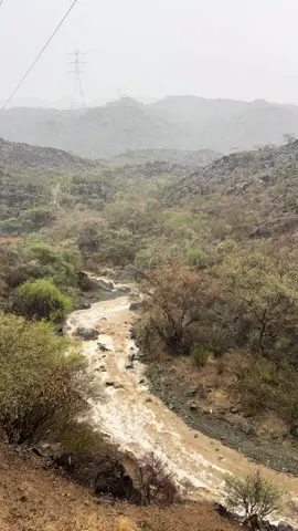 #تصويري_احترافي_الاجواء👌🏻🕊😴 #رجال_المع #مشاهير_تيك_توك #اكسبلور #اكسبلور 