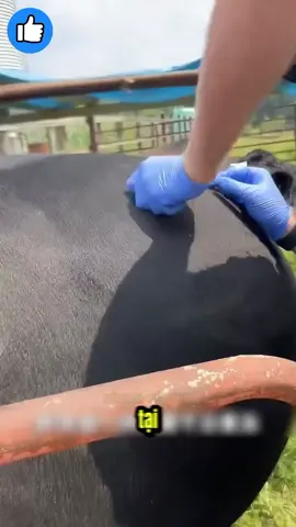 @𝐃𝐮𝐲 𝐄𝐝𝐢𝐭 ☭ @𝐃𝐮𝐲 𝐄𝐝𝐢𝐭 ☭ @𝐃𝐮𝐲 𝐄𝐝𝐢𝐭 ☭ 