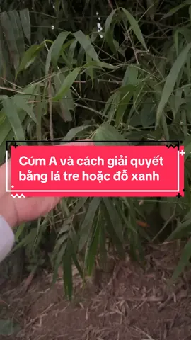 Cúm A và cách giải quyết đơn giản, nhanh khỏi mà con không bị mệt #thaoduocbaoan #cuma 